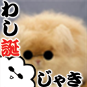 Luka_Migi