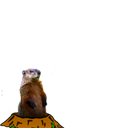 Happy Groundhog Day