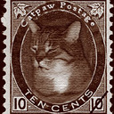 catpaw