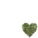 National Tree Week