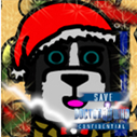 TheDogtor