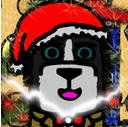 TheDogtor