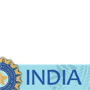 India in the World Cup 2011