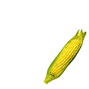 I hate corn