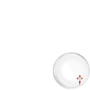 Celta de Vigo