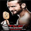 Support WWE champion @CMPunk