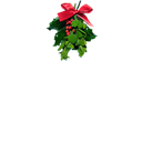 Mistletoe