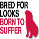 RSPCA_official