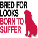 RSPCA 'Born to Suffer' 