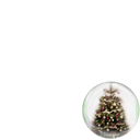 Real Christmas Trees