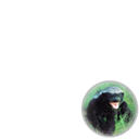 The Honey Badger