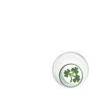 Cricket Ireland