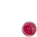 Valentine's Day - Rose Petal