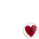 Valentine's Day - Heart