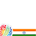 India in the Cricket WC 2011