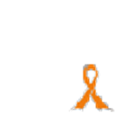 Orange ribbon