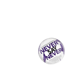 Never Say Never 3D