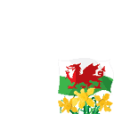 St Davids Day