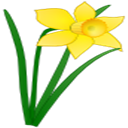St. David's Day