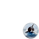 For the Oceans & Life