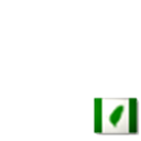 Flag of World Taiwanese Cong