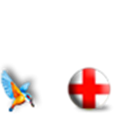 Team England with Kingfisher
