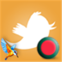 kingfisher_beer