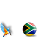 South Africa with Kingfisher