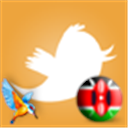 kingfisher_beer