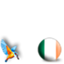 Team Ireland with Kingfisher