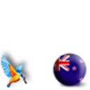 New Zealand with Kingfisher