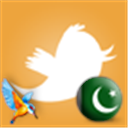 kingfisher_beer