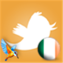 kingfisher_beer