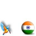Team India with Kingfisher