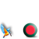 Bangladesh with Kingfisher