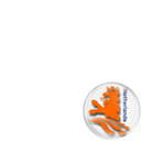 'The Dutch Cricket team'