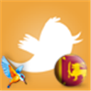 kingfisher_beer