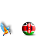 Team Kenya with Kingfisher