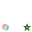 Pakistan World Cup 2011