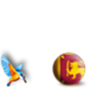 Sri Lanka with Kingfisher