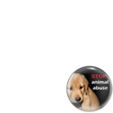 Animal Abuse
