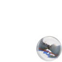 FriendsForSeals.ORG
