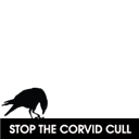 Stop The Corvid Cull