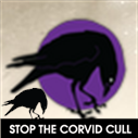 corvidaid