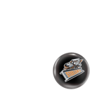 Sheffield Steelers Hockey