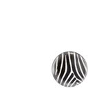 Long Live The Zebra