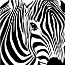 #SavetheZebra