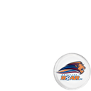 Brisbane Roar