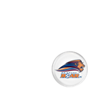 Brisbane Roar