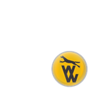 retro wolves fc